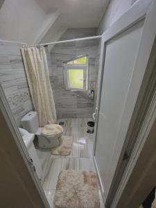 a small bathroom with a toilet and a shower at Guesthouse Gezim Selimaj in Valbonë