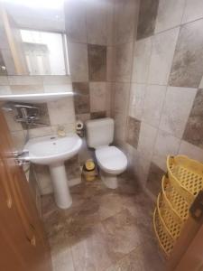 Baño pequeño con aseo y lavamanos en Apartament Ciresica, en Constanţa