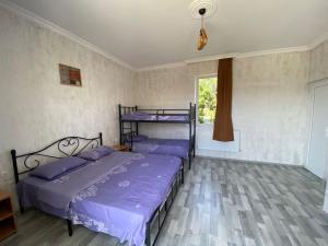 Letto o letti in una camera di Pirosmani