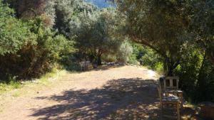 Fotografie z fotogalerie ubytování Shiva Camp v destinaci Faralya