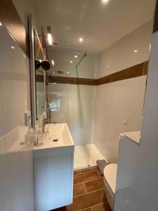 ein Badezimmer mit einem Waschbecken, einem WC und einem Spiegel in der Unterkunft Studio with AC, pool & garden, 2km St Emilion in Saint-Christophe-des-Bardes