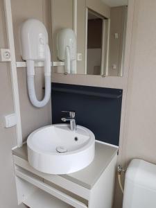 a bathroom with a white sink and a mirror at Pet Family Camping Cortina in Senigallia