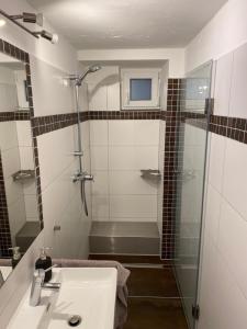 a bathroom with a shower and a sink and a shower at Haus in Esch in Esch