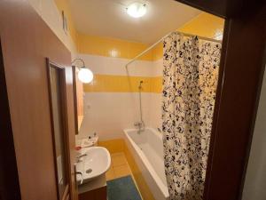 Koupelna v ubytování Apartments Spolkova