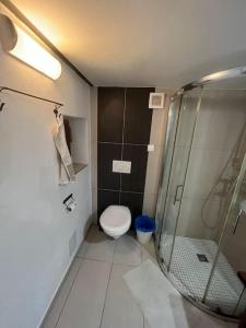 een badkamer met een toilet en een glazen douche bij Stefanka apartment Old Town in Bratislava