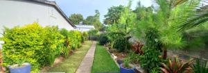 ogród z drzewami i roślinami na dziedzińcu w obiekcie Zachi Apartments w mieście Kitwe