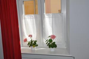 dwie doniczki siedzące na parapecie w obiekcie Krakowsky Apartment w Krakowie