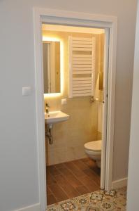 łazienka z toaletą i umywalką w obiekcie Krakowsky Apartment w Krakowie +37 zdjęć