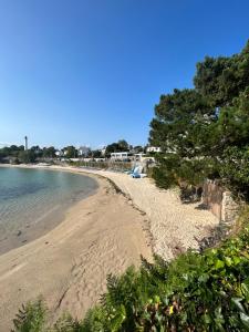 a sandy beach with trees and the water at Le Lagon, joli studio en bord de mer in Bénodet