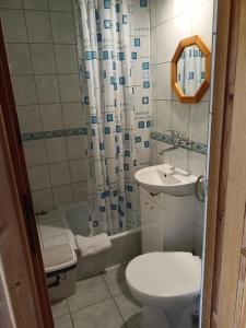 y baño con aseo, lavabo y ducha. en Żegleniówka, en Małe Ciche