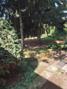 a garden with trees and grass and a sidewalk at 2 Rooms Retro Guesthouse in a silent garden in Vecsés