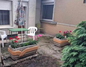 patio ze stołem, krzesłami i kwiatami w obiekcie 2 Rooms Retro Guesthouse in a silent garden w mieście Vecsés