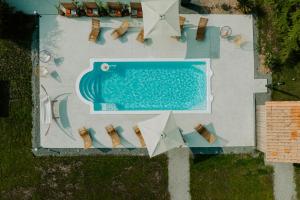 einen Blick über einen Pool mit Liegestühlen und Stühlen in der Unterkunft Les Cabanes Girondines-Lodges & Spa in Martillac