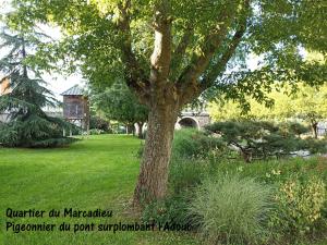 Ein Baum mitten auf einem grünen Hof in der Unterkunft Studio Tarbes Marcadieu in Tarbes