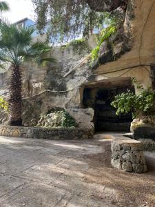 kamienna jaskinia z palmą obok ściany w obiekcie VILLA FRANCA w mieście Fontane Bianche