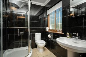 a bathroom with a toilet and a sink and a shower at Achnagairn Estate - Self-catering Mini Manors in Beauly