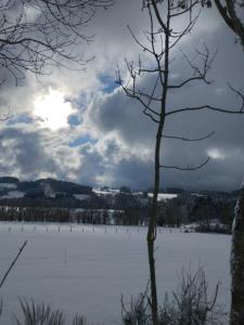 Fotografia z galérie ubytovania La Roucoule v destinácii Le Sapt