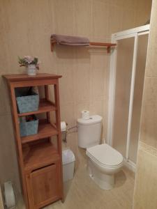 a small bathroom with a toilet and a wooden shelf at Apto Usarena Ezcaray in Zorraquín