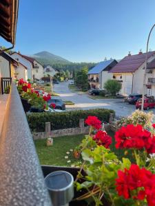 a view from a balcony of a town with red flowers at Apartmani G&E in Delnice