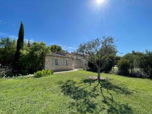 un árbol en el patio de una casa en Mas Millésime - Gîtes Carignan - 4 pers - piscine privative - St Remy de Provence, en Mas blanc des Alpilles