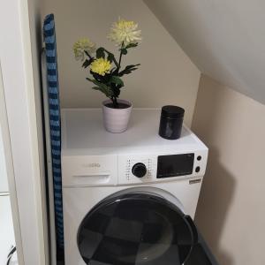 a washer and dryer with a plant on top of it at La myssaline in Cayeux-sur-Mer