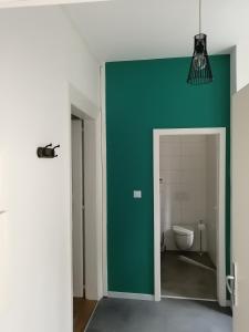ein Badezimmer mit einer grünen Wand und einem WC in der Unterkunft LE 1 " GÎTES TOUT CONFORT à COLMAR CENTRE" in Colmar