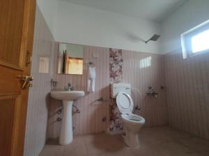 uma casa de banho com um WC e um lavatório em Streamlet homestay em Leh