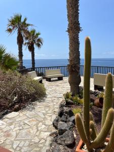 eine Terrasse mit Kakteen und Bänken und dem Meer in der Unterkunft Casa Balcon del Mar 2 in Costa Del Silencio