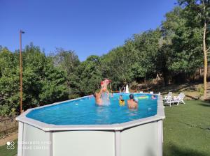 un grupo de personas jugando en una piscina en DIMORA IL CAMALEONTE, apartments in nature near the sea en Civitavecchia