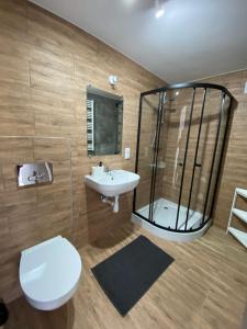 a bathroom with a shower and a toilet and a sink at Pokoje Green House in Ustroń +22 photos
