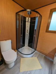 La salle de bains est pourvue d'une douche en verre et de toilettes. dans l'établissement Gîte le noisetier 3-6 personnes, à Blésignac