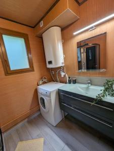 La salle de bains est pourvue d'un lave-linge et d'un lavabo. dans l'établissement Gîte le noisetier 3-6 personnes, à Blésignac