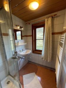 a bathroom with a sink and a shower at Almgasthaus Glocknerblick in Großkirchheim