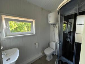 łazienka z toaletą, umywalką i oknem w obiekcie Vasaras Sapnis w mieście Nida