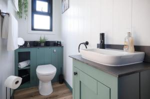 uma casa de banho com um lavatório branco e um WC. em Willows Rest - 1 Bed Shepherds Hut - Pentlepoir em Saundersfoot