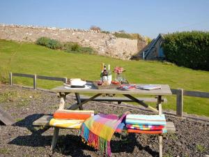 a picnic table with a blanket and a bottle of wine at Shepherd's Hut in Bridgend