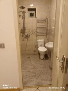 a bathroom with a toilet and a sink at Hamzalli Garden in Gabala