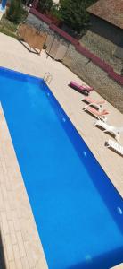 a blue swimming pool with lounge chairs at Hamzalli Garden in Gabala