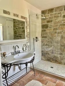 La salle de bains est pourvue d'un lavabo et d'une douche. dans l'établissement Intero alloggio campagna Lucca, à Capannori