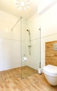 a bathroom with a glass shower stall and a toilet at ZAMKOWE TARASY Apartamenty Old Town by stayly in Szczecin +24 photos