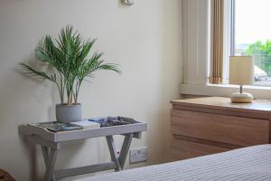 a bedroom with a table with a potted plant on it at Lotus Studio near Lanark in Carstairs