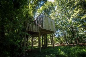 a tree house in the middle of the forest at Cabanas de Apriscos in Gallardo +13 photos