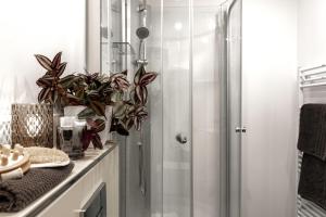 een badkamer met een douche en een plant op een aanrecht bij Arkadia Apartments-Schwissel-Bad Segeberg in Schwissel