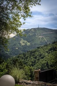 widok na wzgórze z wieżą w oddali w obiekcie Luxury Chalet Na Stromym Wzgórzu & Sauna w Szczyrku
