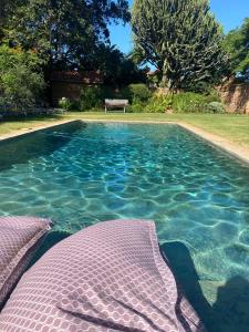 - une piscine avec un lit et un banc dans une cour dans l'établissement Maison H Guest House, à Durban