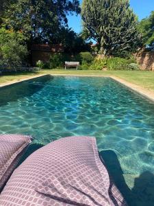 a pool with a bed and a bench in a yard at Maison H Guest House in Durban
