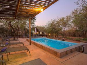 uma piscina com uma pérgola e cadeiras ao lado em South Safari Lodge em Marloth Park