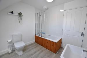 a bathroom with a toilet and a sink and a shower at Bass View- harbourfront home Pittenweem in Pittenweem