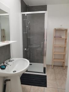 a bathroom with a shower and a white sink at Un rêve à la mer in Plestin-les-Grèves +25 photos