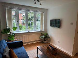 sala de estar con sofá azul y ventana en Comfortable 3 Bed House with Garden & Parking en Nottingham